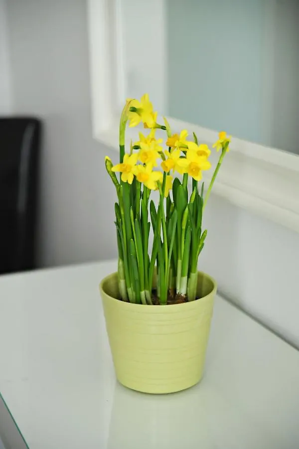 Scandinavian Modern Home 34 1Br City Center In Kamppi Tyoemiehenkatu Helsinky 0*,